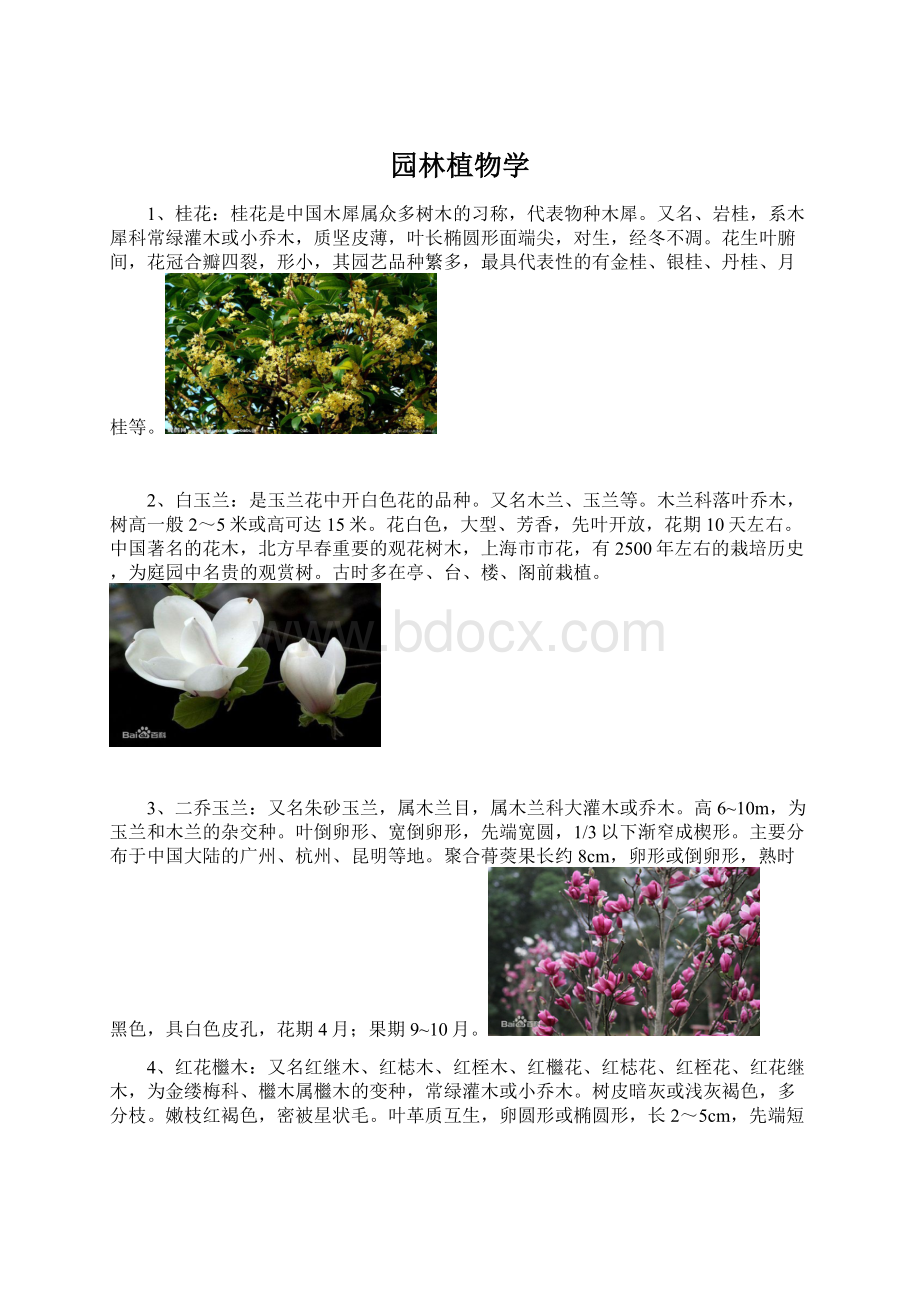 园林植物学Word下载.docx