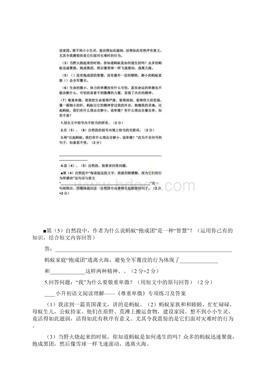 卑微阅读答案六年级.docx_第3页