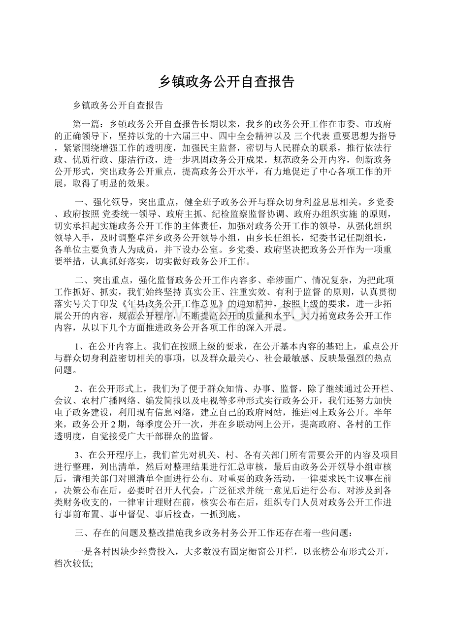 乡镇政务公开自查报告.docx_第1页