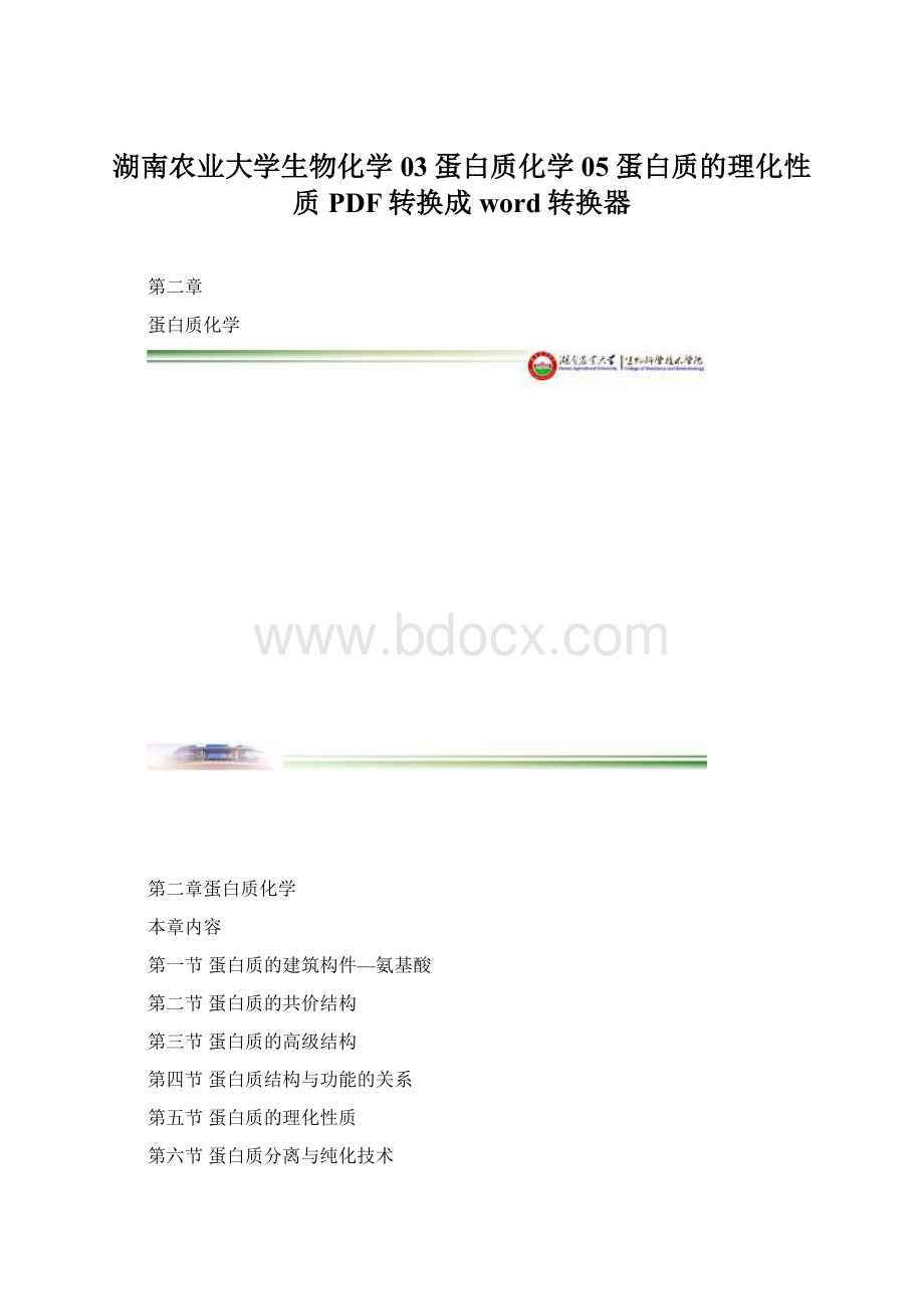 湖南农业大学生物化学03蛋白质化学05蛋白质的理化性质PDF转换成word转换器Word文件下载.docx_第1页