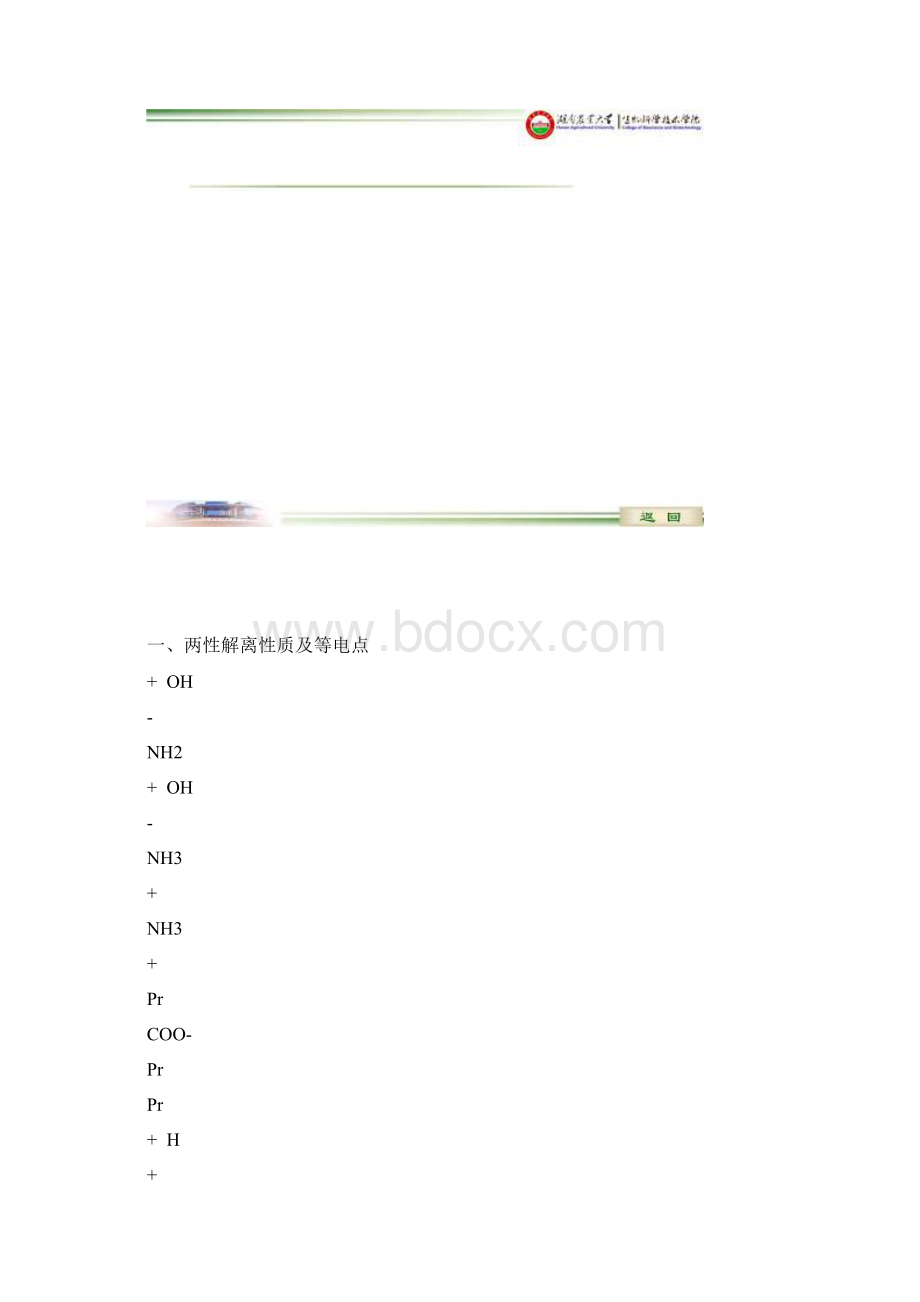 湖南农业大学生物化学03蛋白质化学05蛋白质的理化性质PDF转换成word转换器Word文件下载.docx_第3页