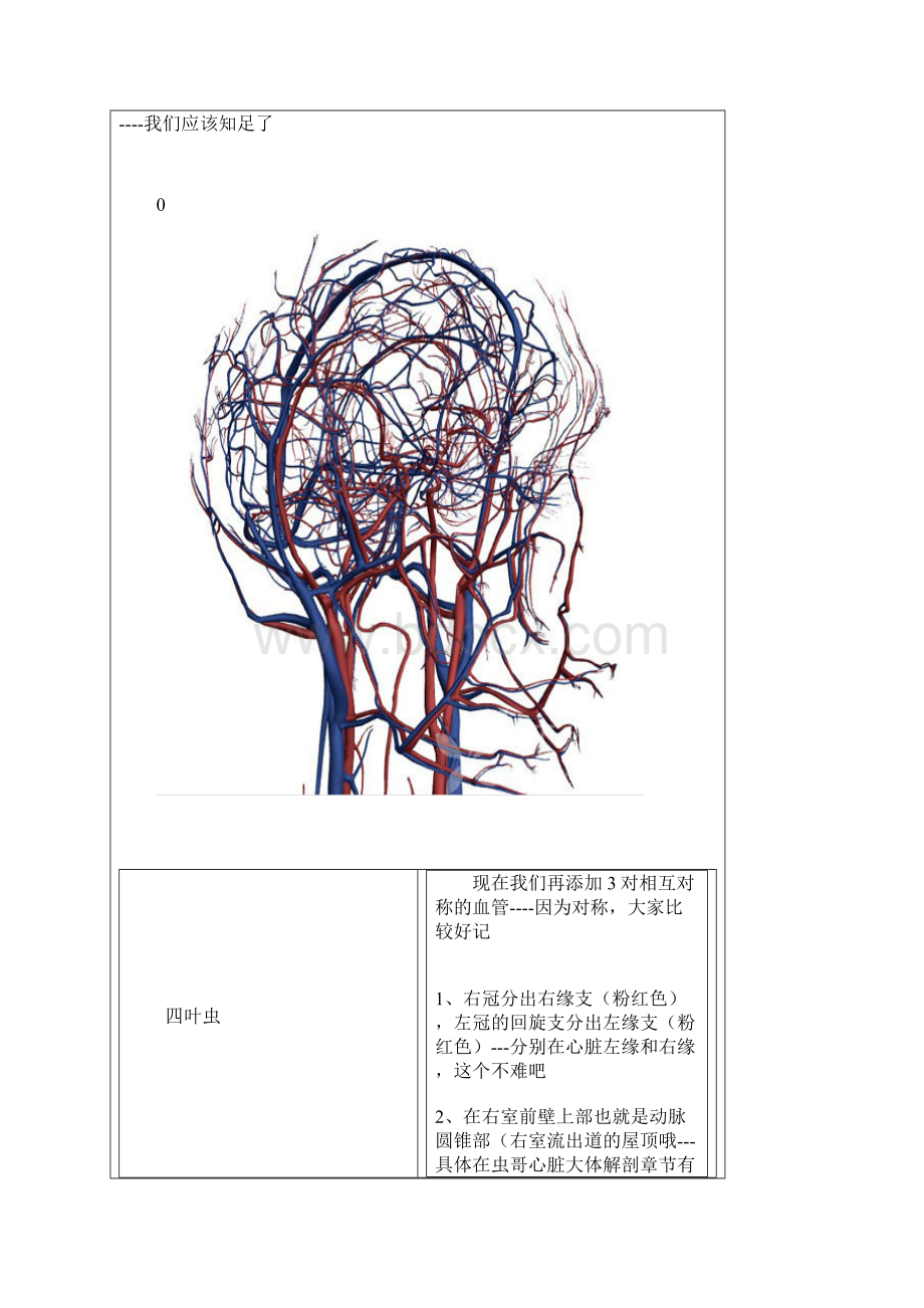 心脏的血管解剖动脉静脉.docx_第2页