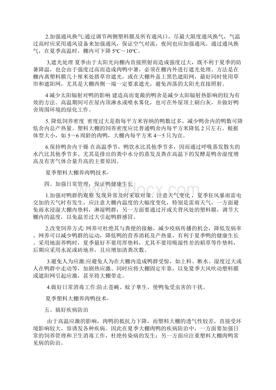 大棚养殖肉鸭技术Word文档格式.docx_第2页