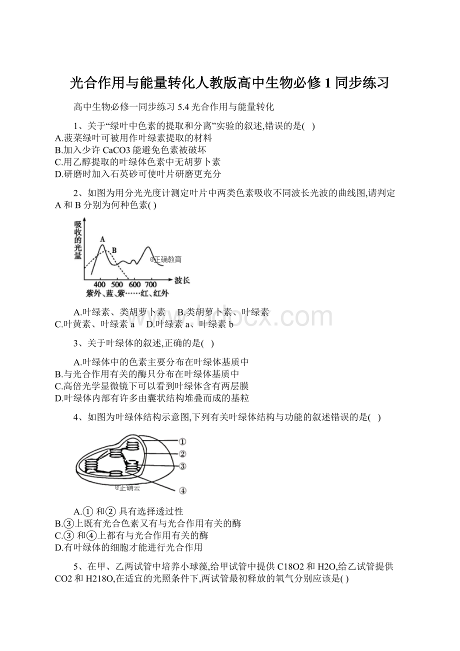 光合作用与能量转化人教版高中生物必修1同步练习Word文件下载.docx