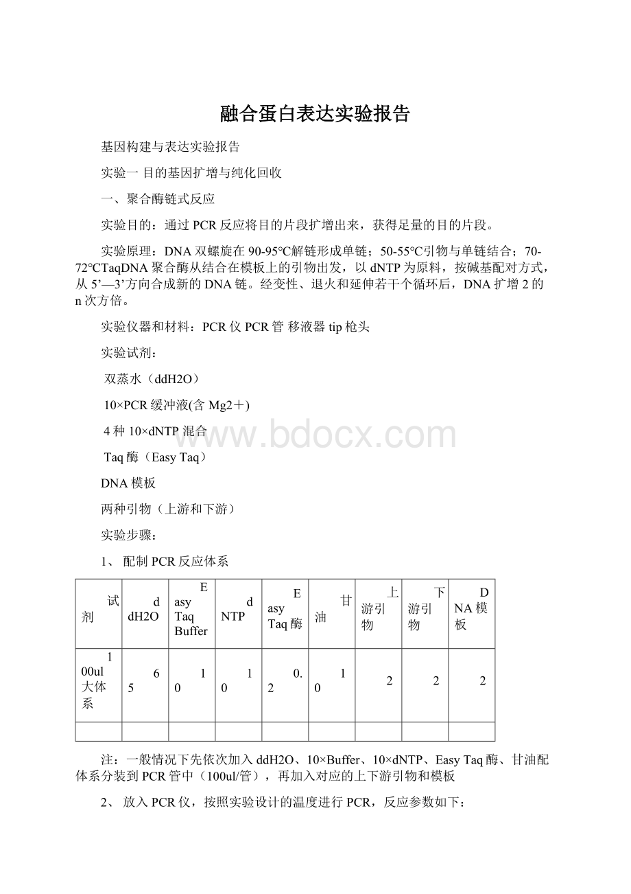 融合蛋白表达实验报告文档格式.docx