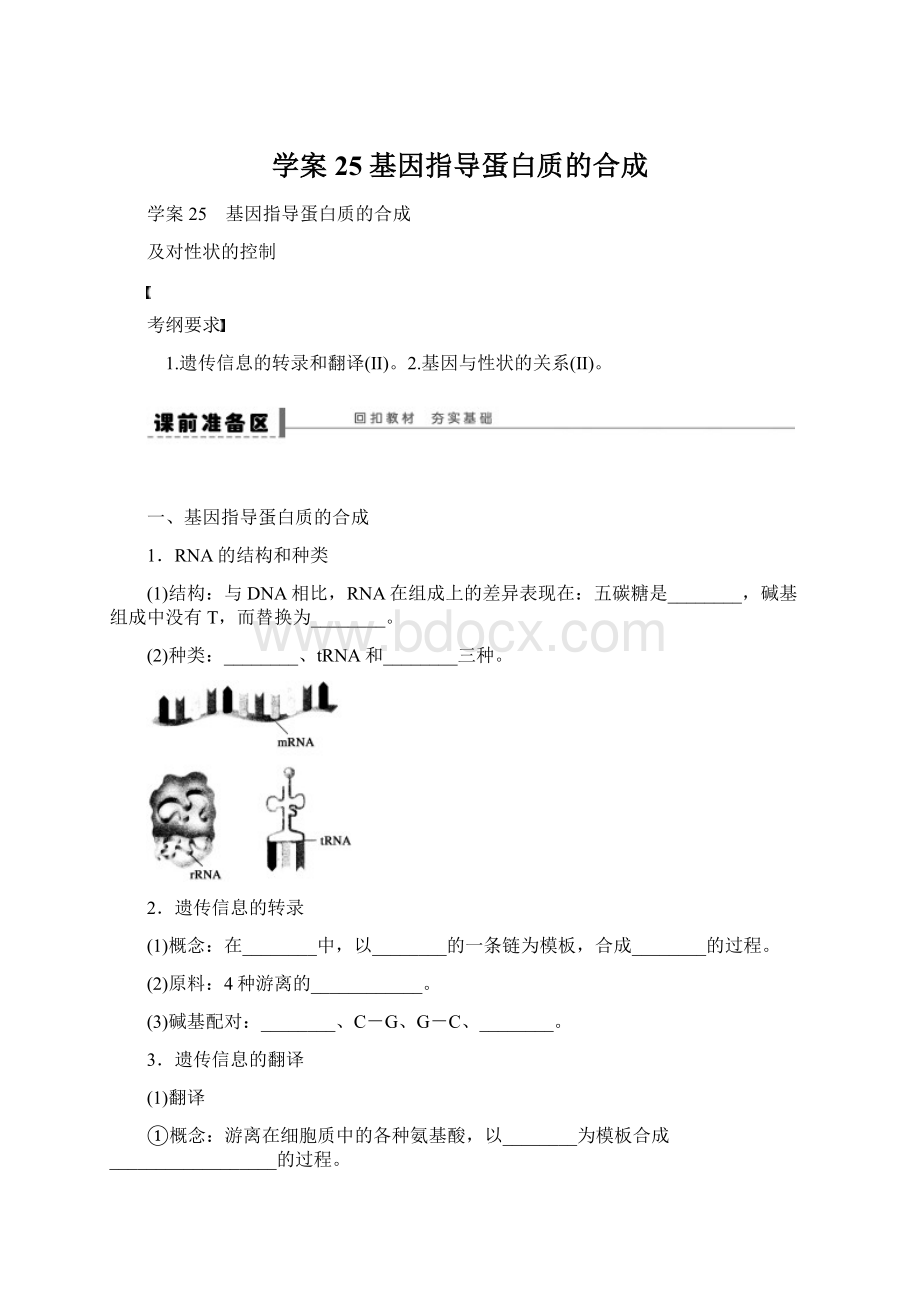 学案25 基因指导蛋白质的合成.docx