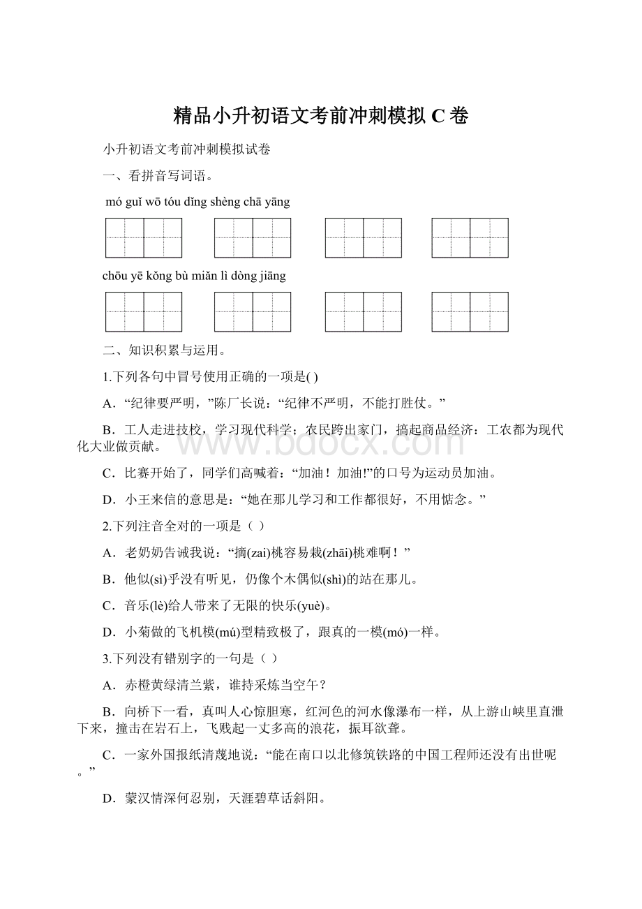 精品小升初语文考前冲刺模拟C卷Word格式文档下载.docx