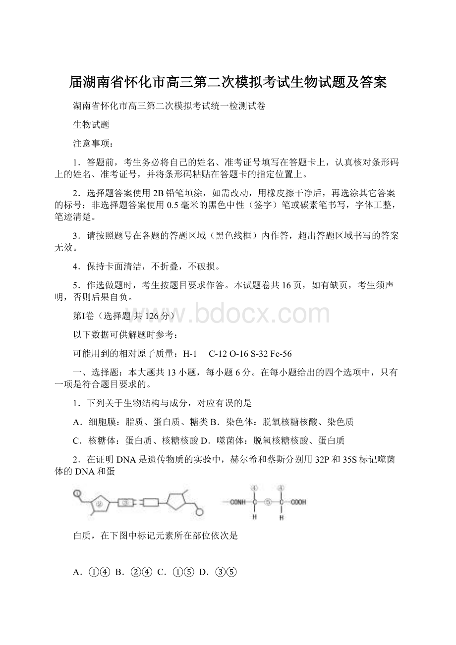 届湖南省怀化市高三第二次模拟考试生物试题及答案Word格式.docx