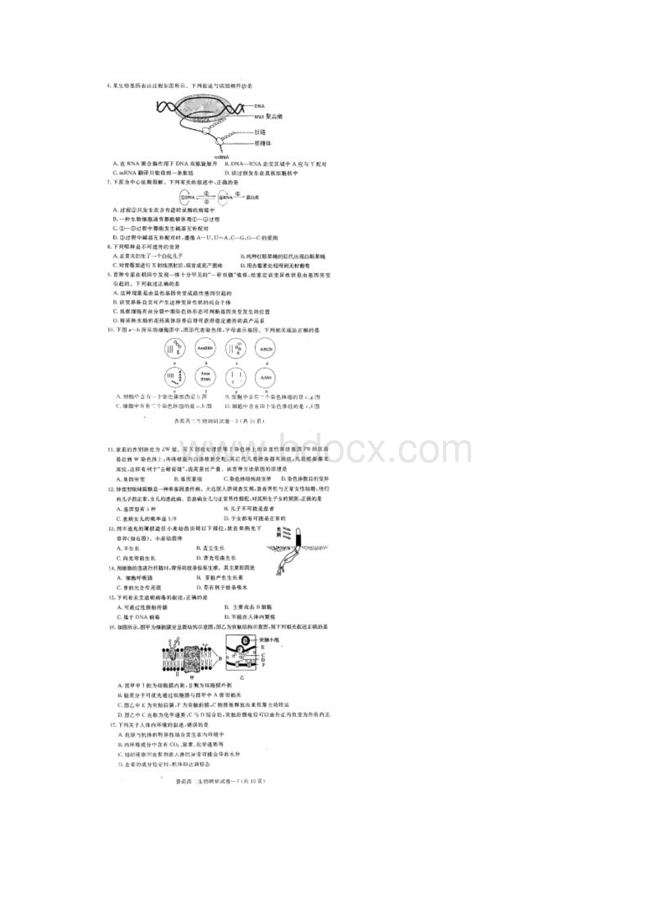 浙江省金华市学年高二下学期期末考试生物试题 扫描版含答案Word文档格式.docx_第2页