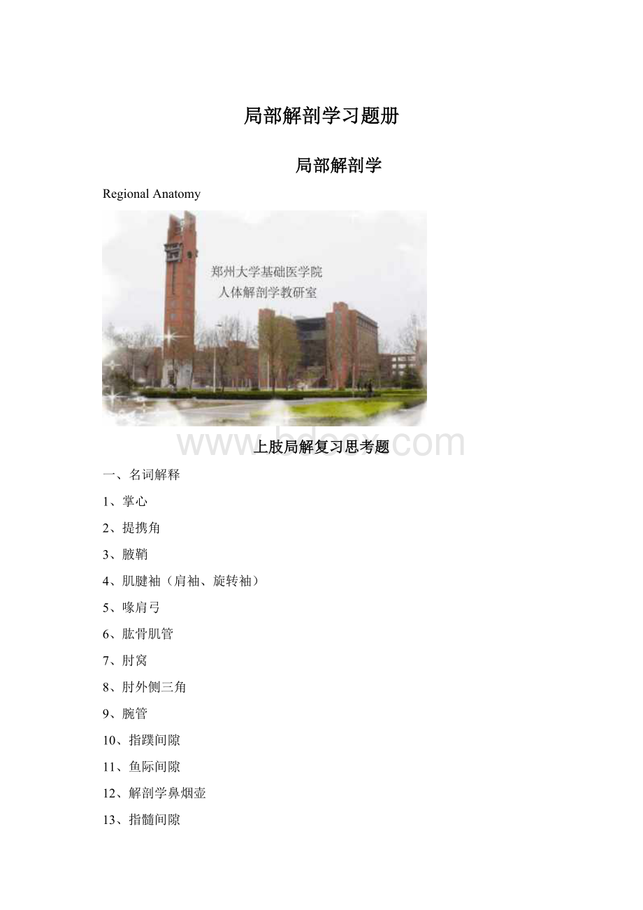 局部解剖学习题册.docx