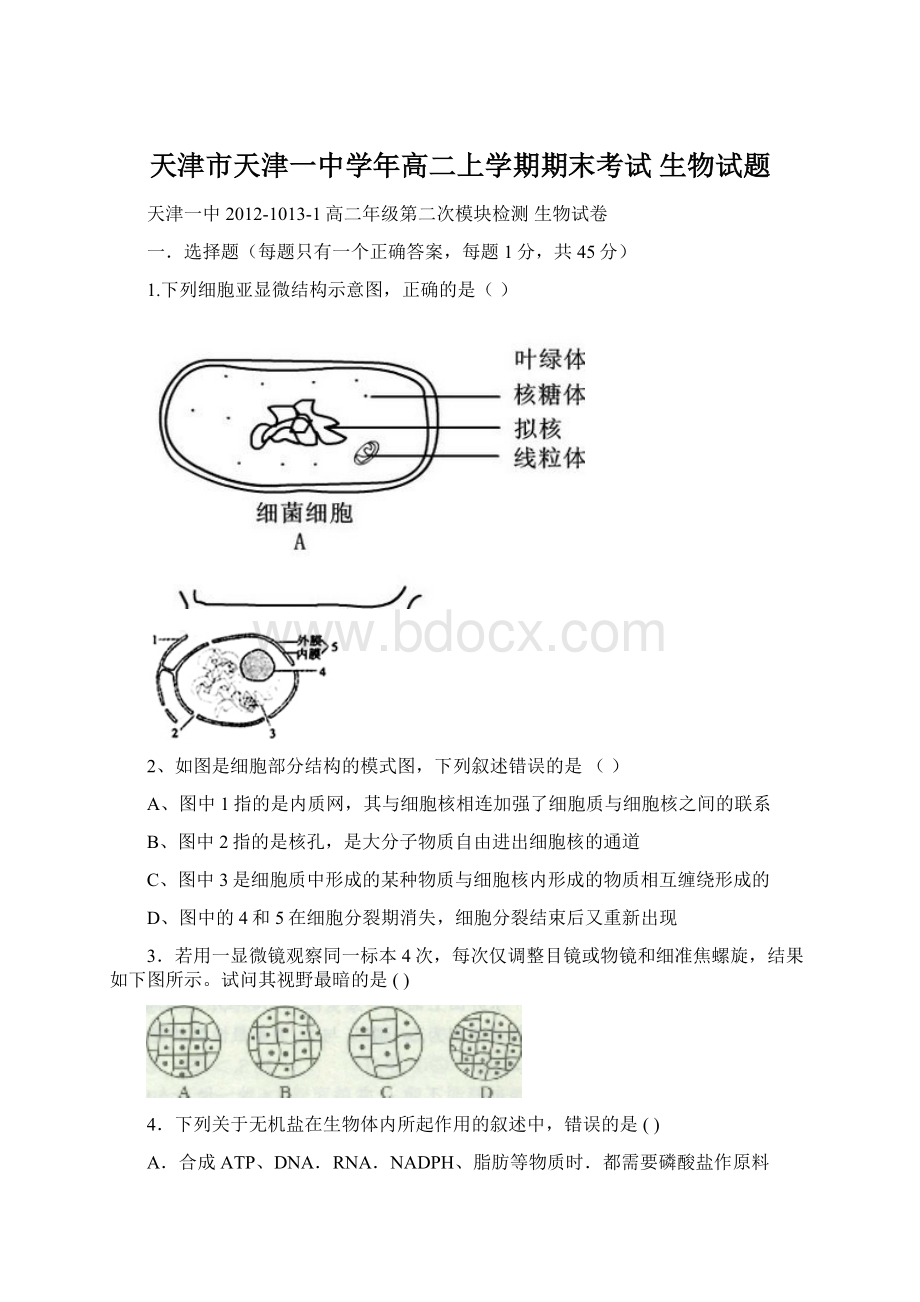 天津市天津一中学年高二上学期期末考试 生物试题.docx_第1页