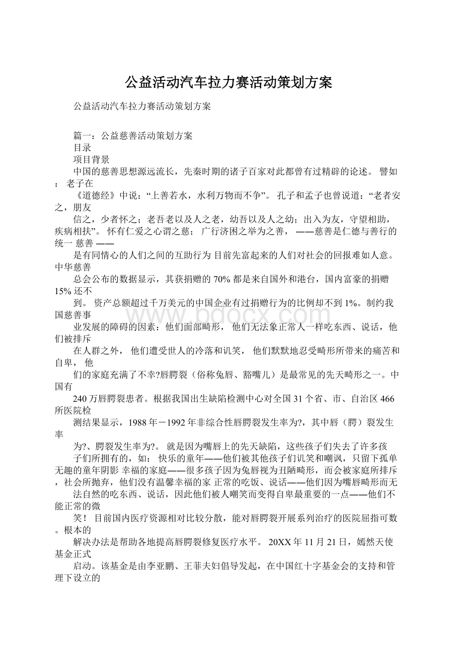 公益活动汽车拉力赛活动策划方案.docx