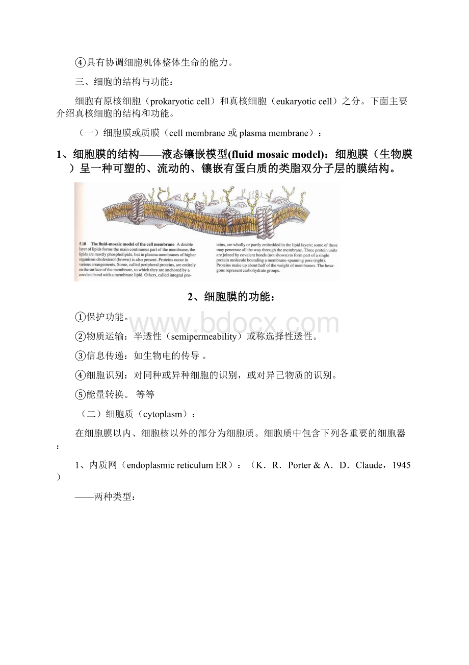 细胞膜的功能.docx_第3页