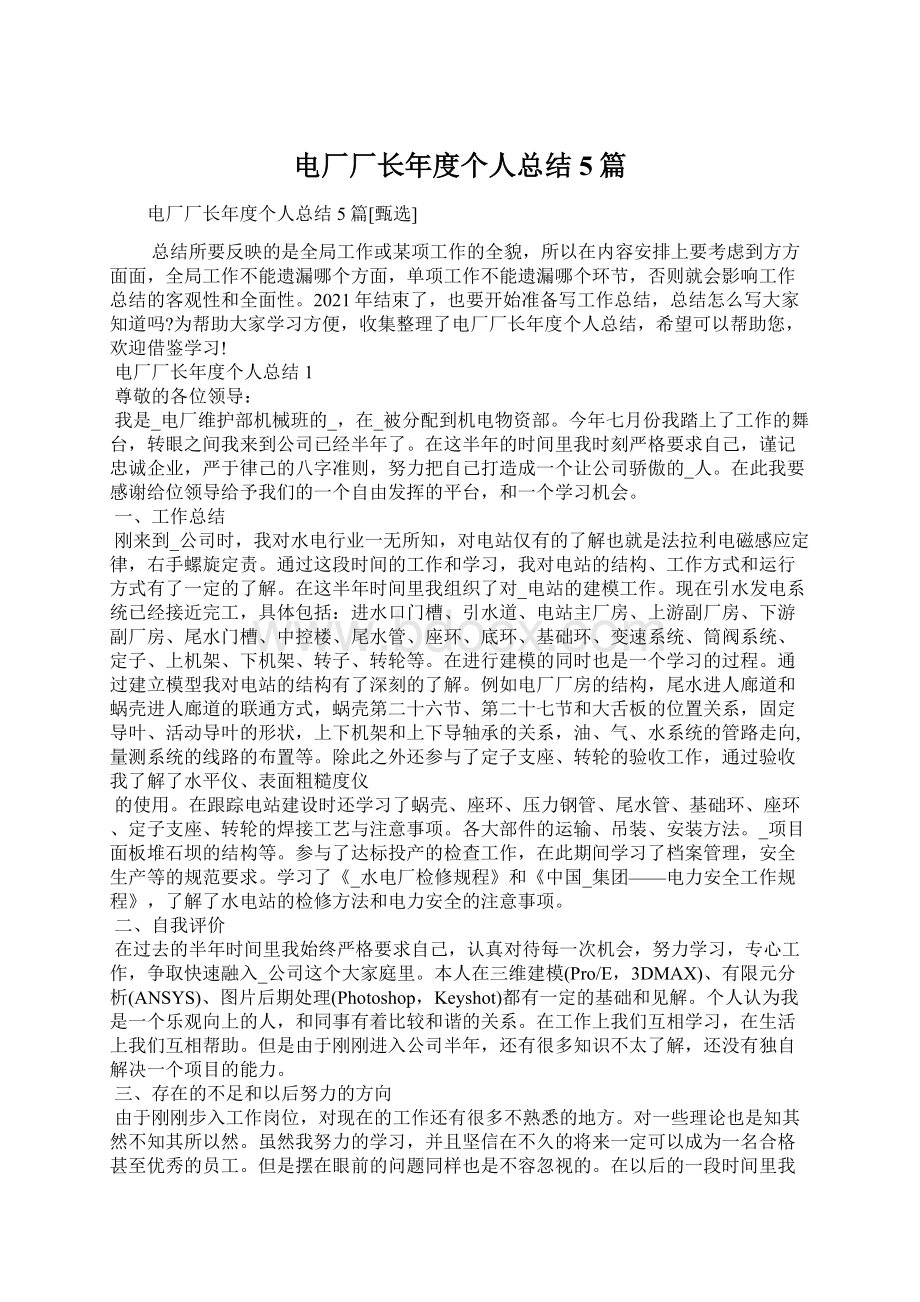 电厂厂长年度个人总结5篇Word文件下载.docx