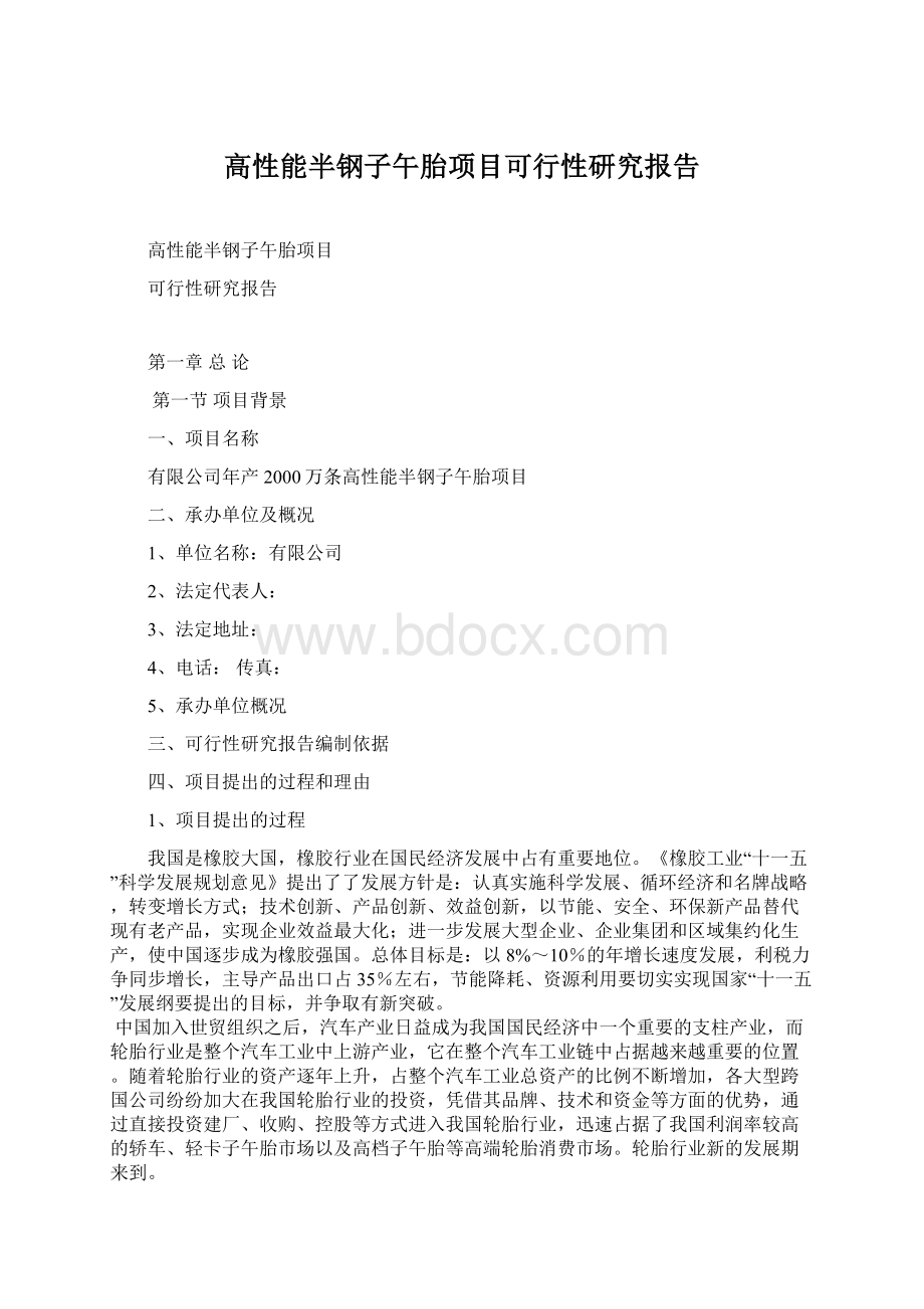 高性能半钢子午胎项目可行性研究报告Word文档格式.docx_第1页