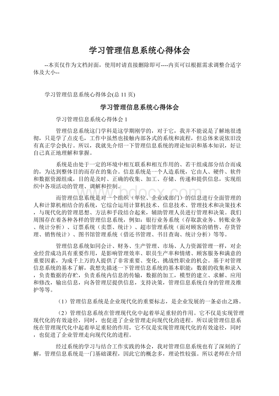 学习管理信息系统心得体会文档格式.docx