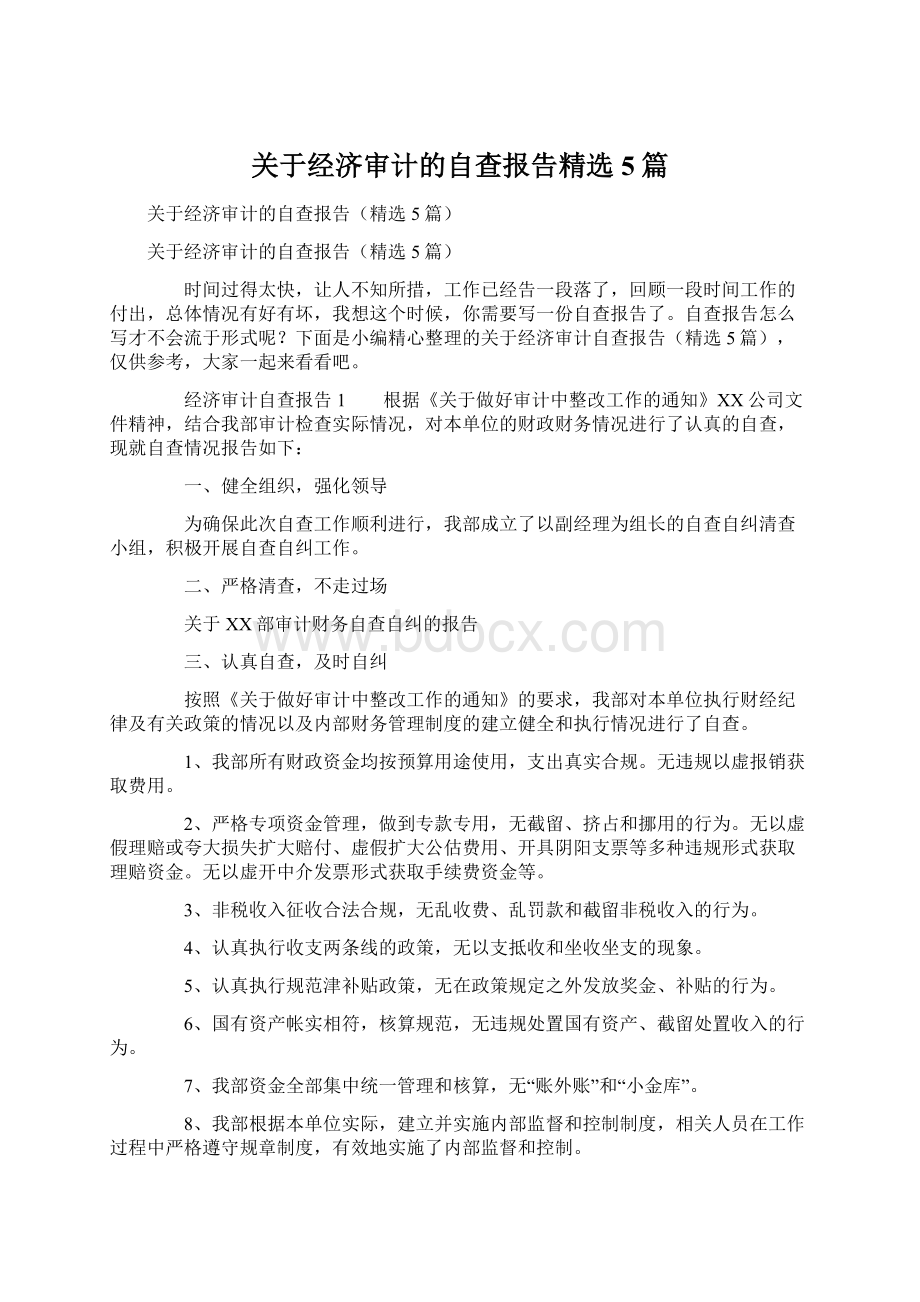 关于经济审计的自查报告精选5篇.docx