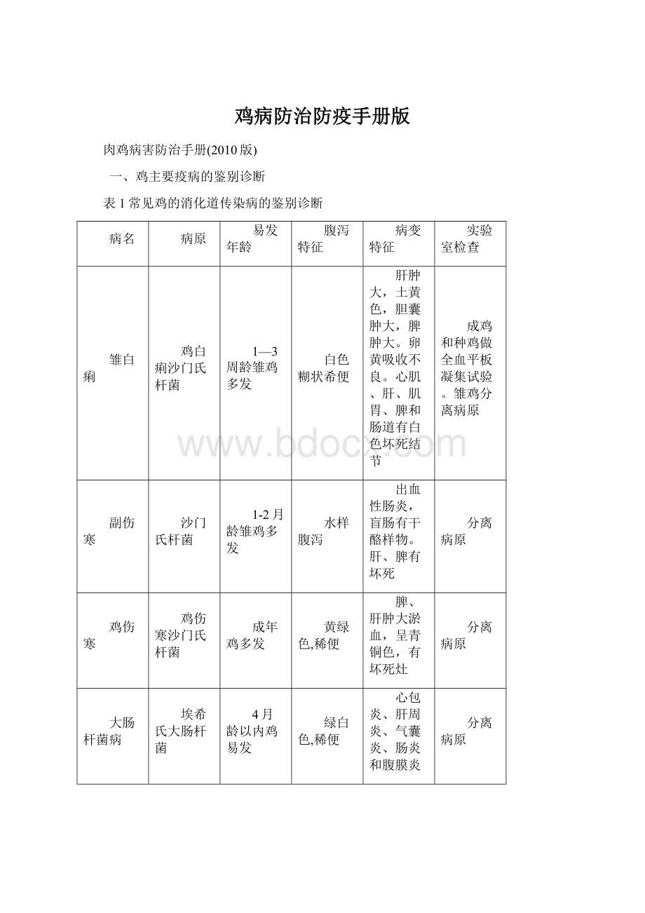 鸡病防治防疫手册版Word文档格式.docx