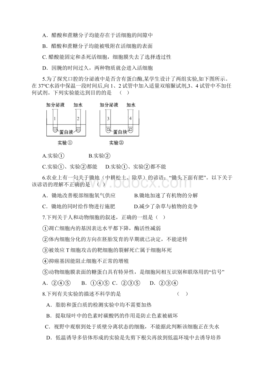 高考模拟考试试题一生物试题Word下载.docx_第2页