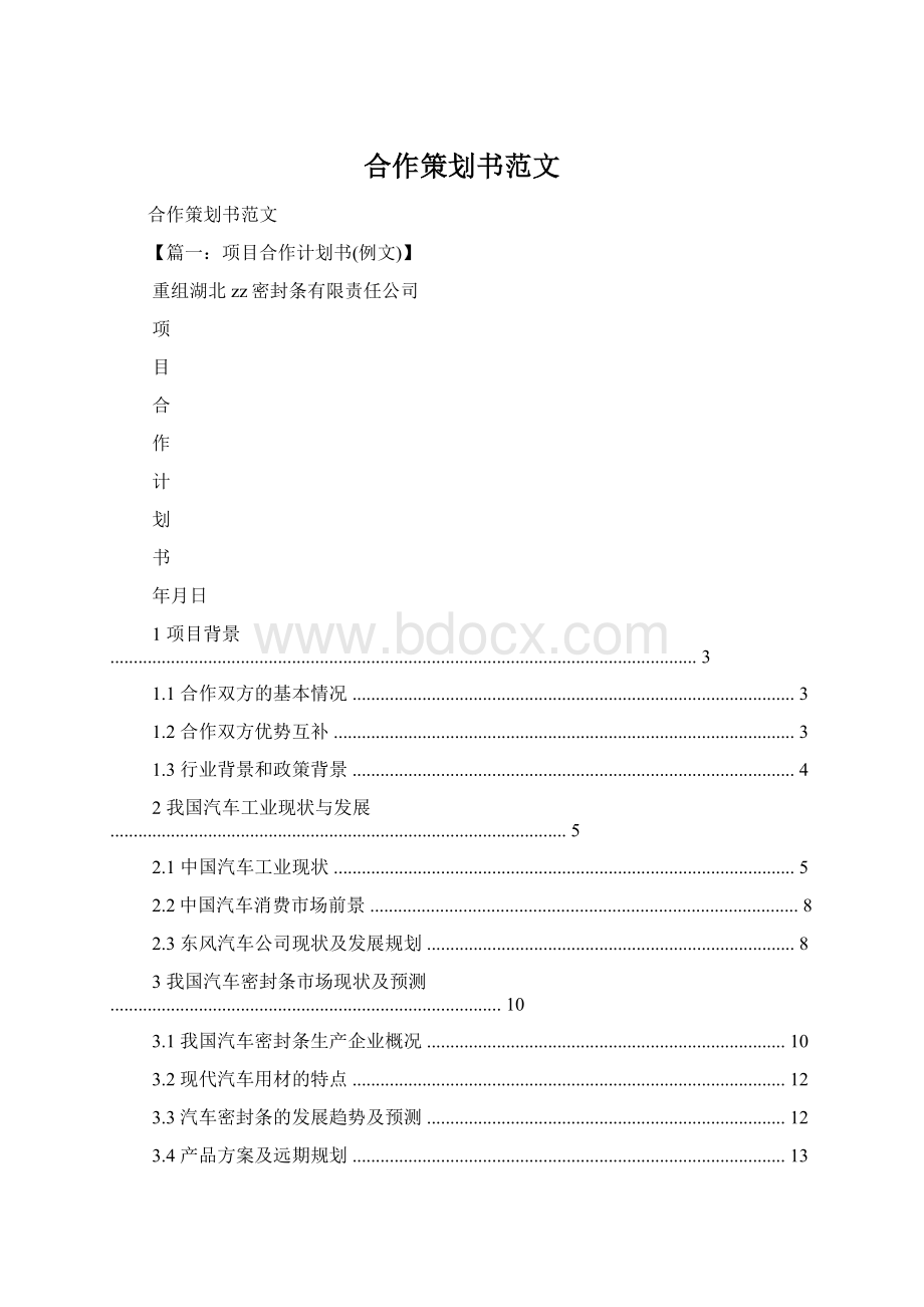 合作策划书范文Word文档下载推荐.docx