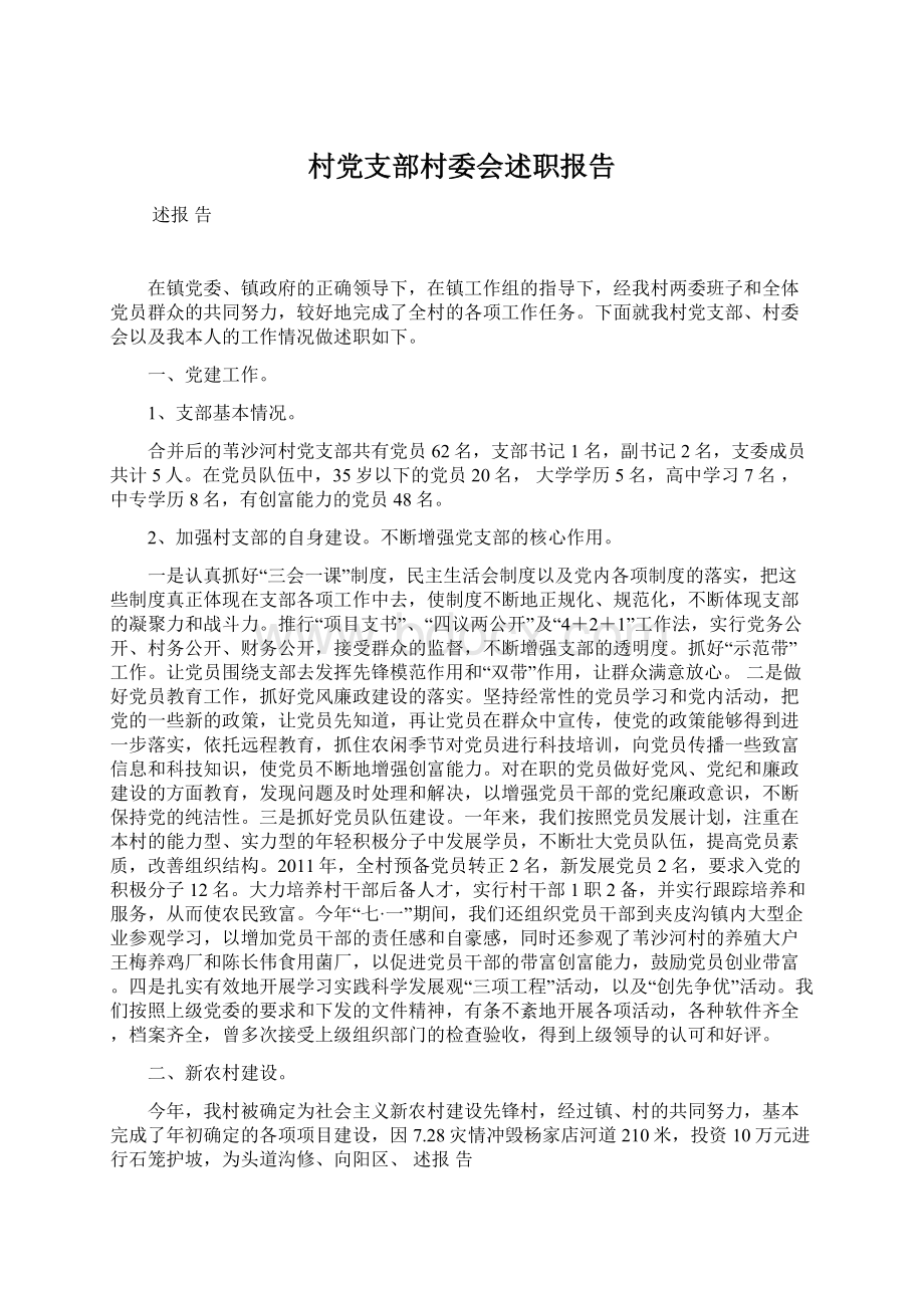 村党支部村委会述职报告Word文件下载.docx