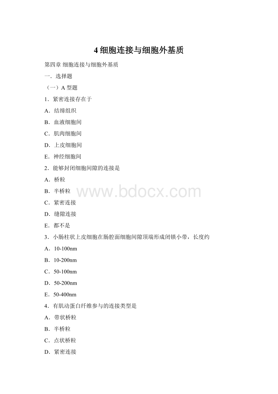 4细胞连接与细胞外基质Word文档格式.docx