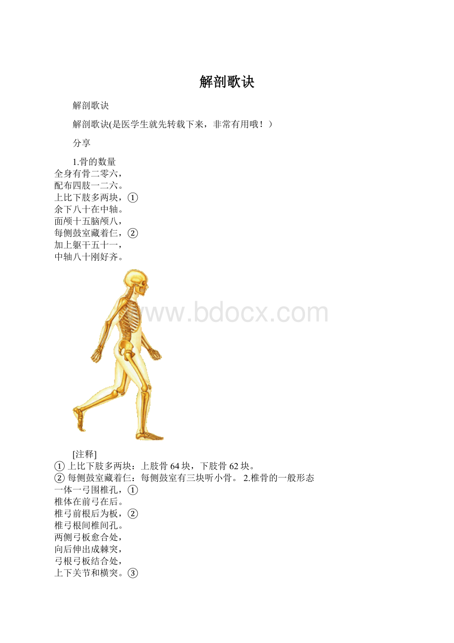 解剖歌诀Word文件下载.docx