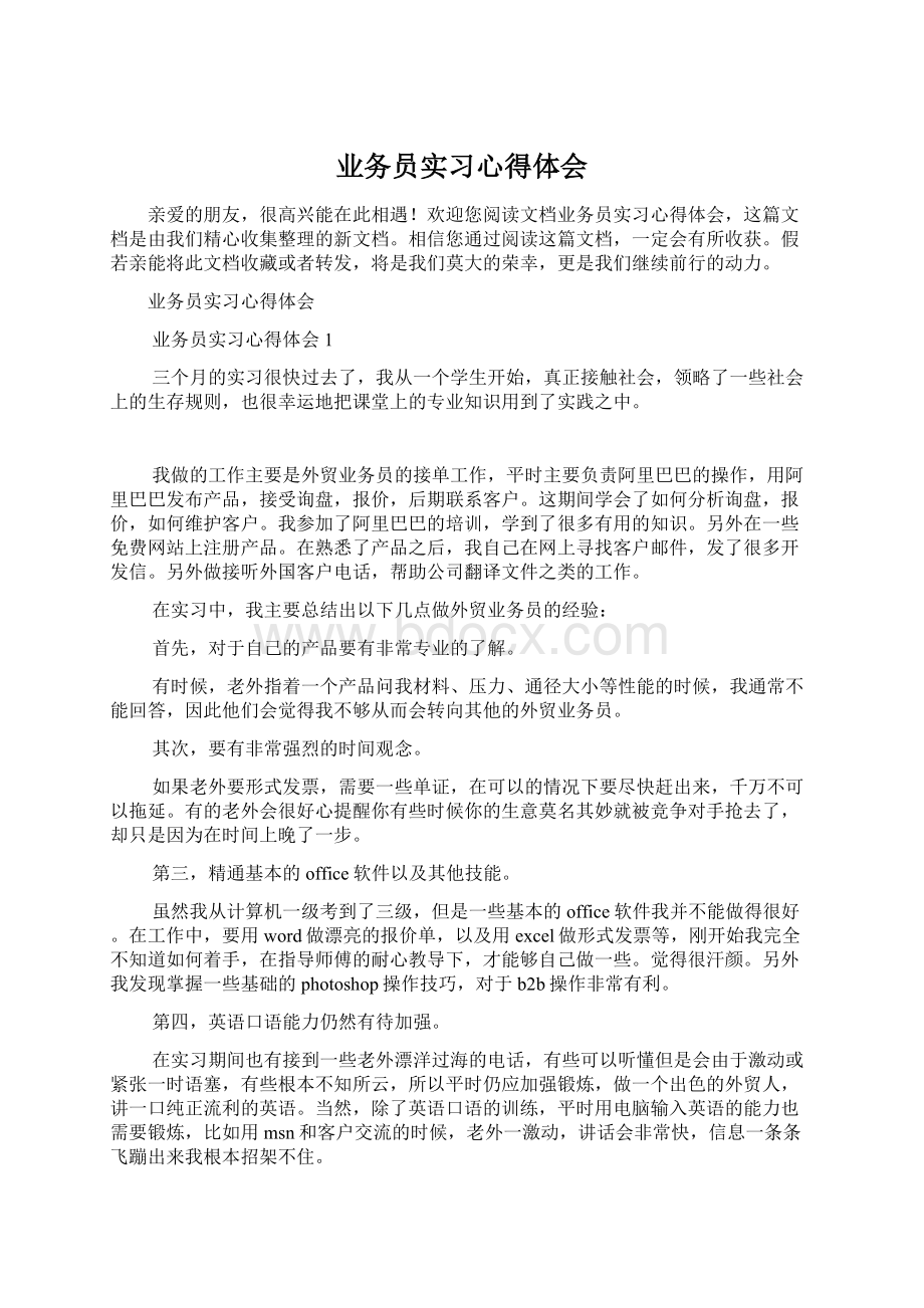 业务员实习心得体会Word格式文档下载.docx