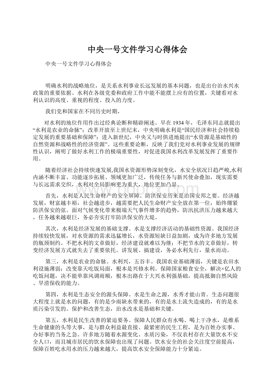 中央一号文件学习心得体会Word下载.docx