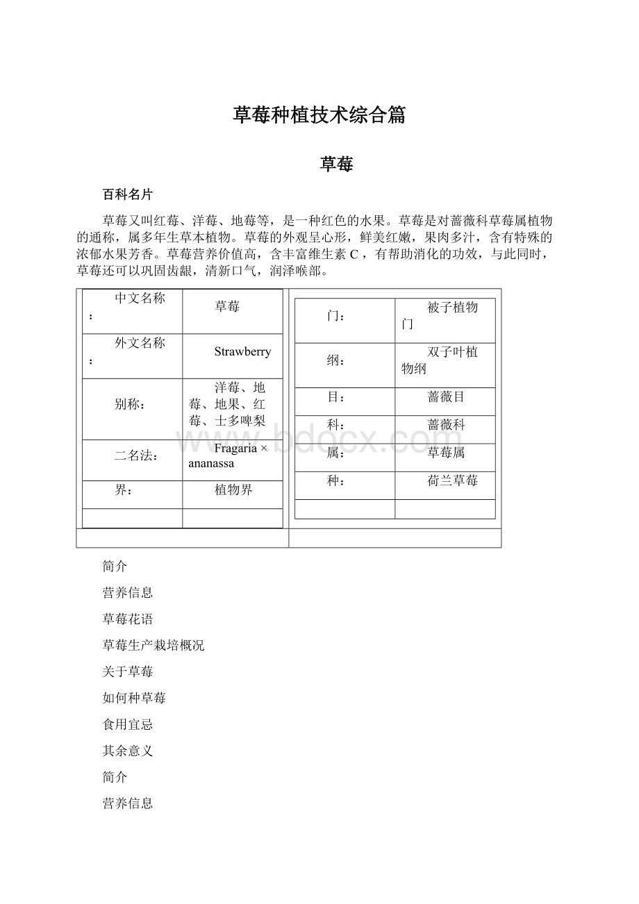 草莓种植技术综合篇Word文档下载推荐.docx