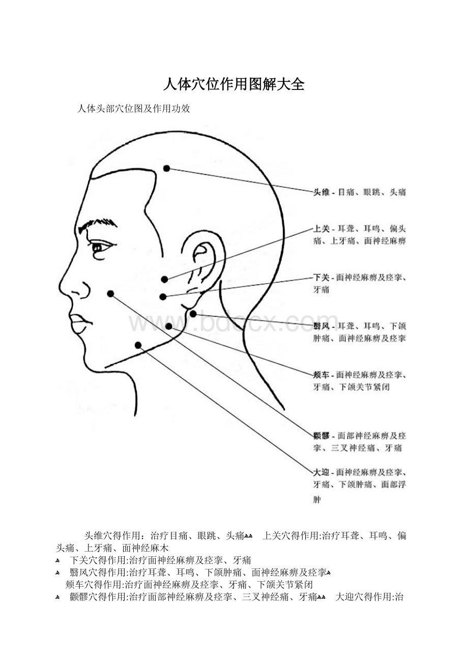 人体穴位作用图解大全Word格式文档下载.docx