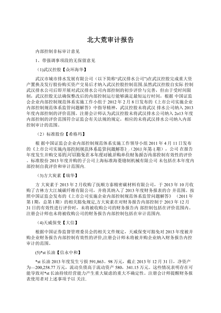 北大荒审计报告Word格式文档下载.docx