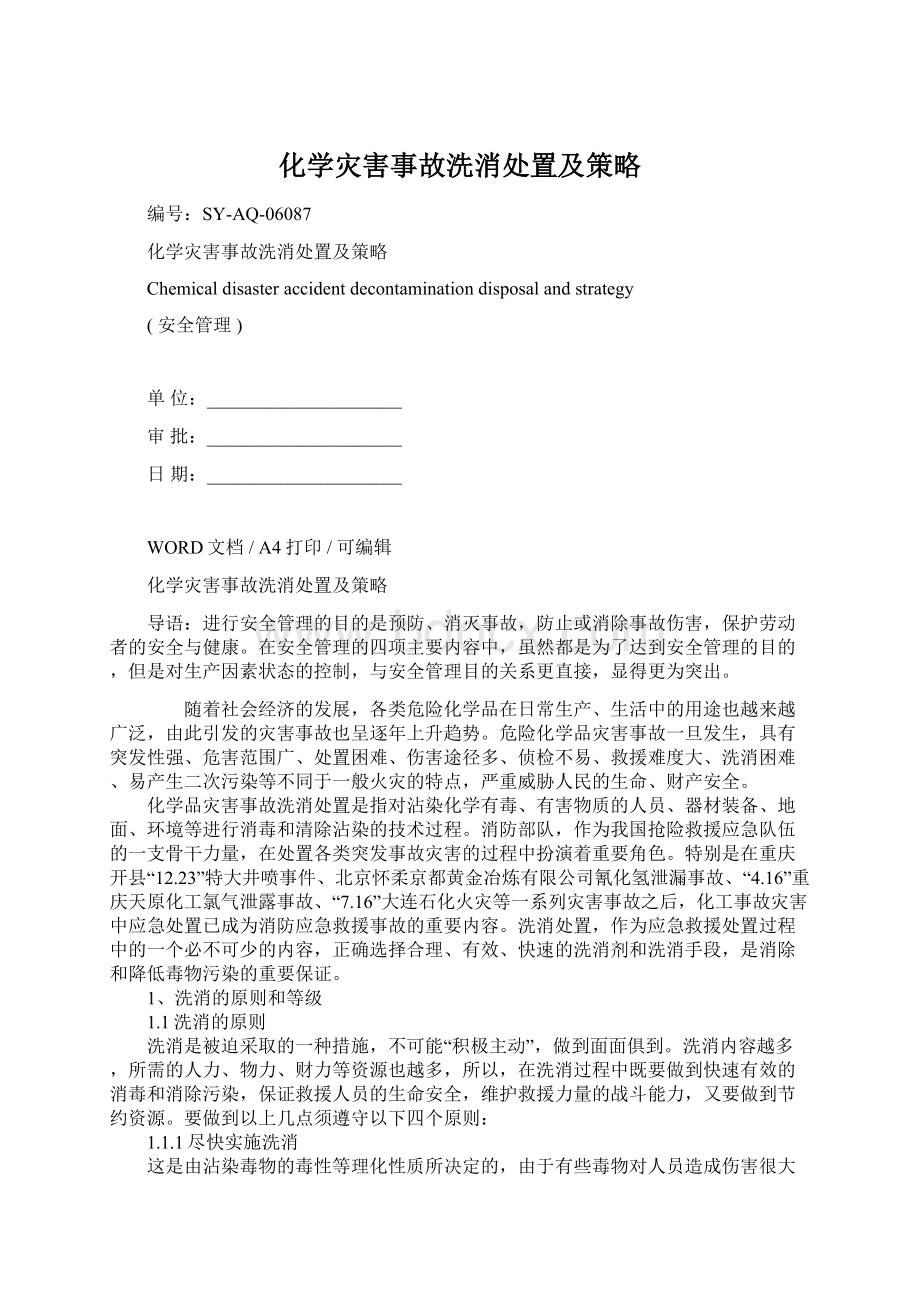 化学灾害事故洗消处置及策略Word下载.docx_第1页