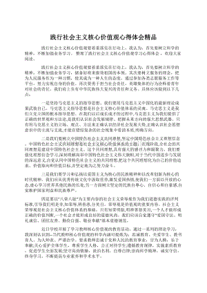 践行社会主义核心价值观心得体会精品Word格式文档下载.docx