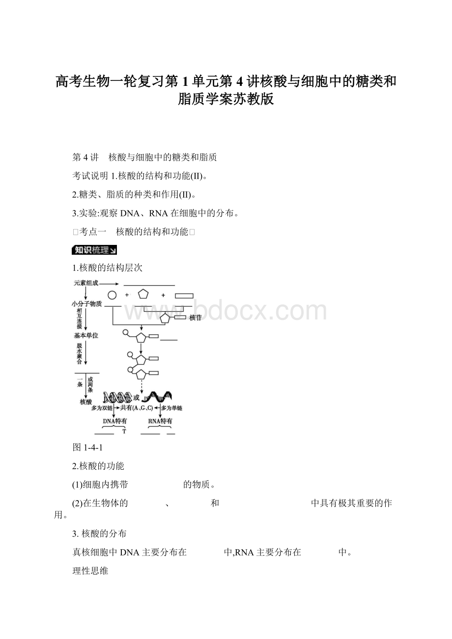 高考生物一轮复习第1单元第4讲核酸与细胞中的糖类和脂质学案苏教版文档格式.docx