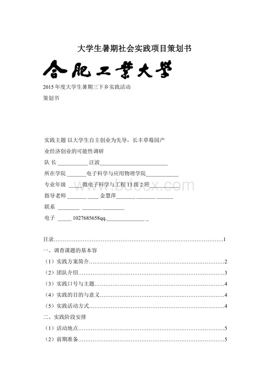 大学生暑期社会实践项目策划书.docx_第1页