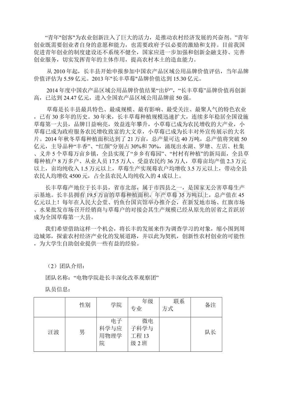 大学生暑期社会实践项目策划书.docx_第3页