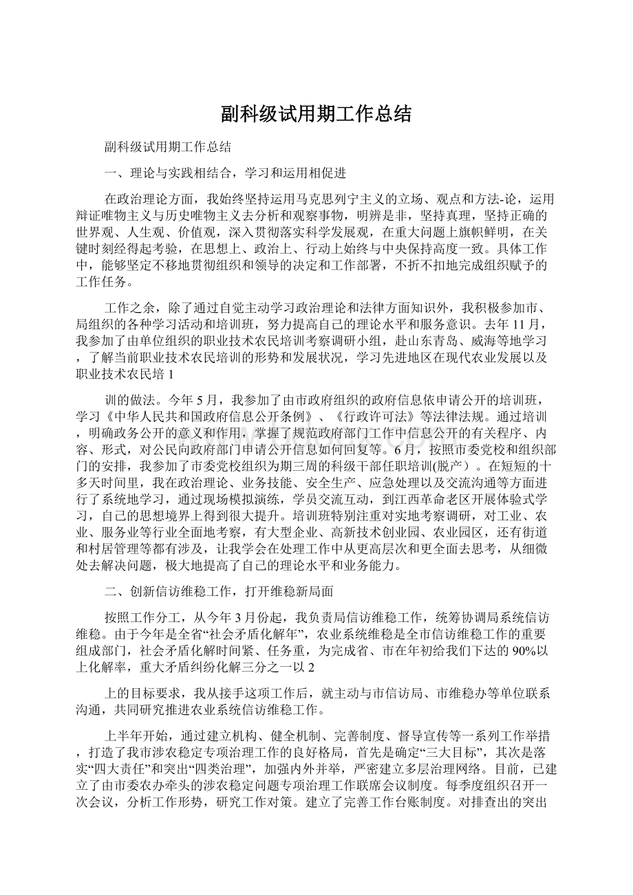 副科级试用期工作总结文档格式.docx_第1页