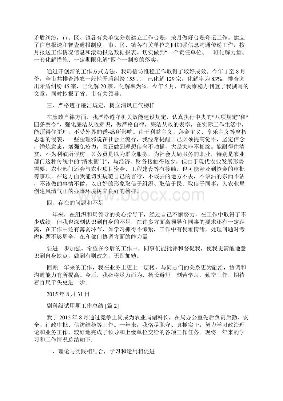 副科级试用期工作总结文档格式.docx_第2页