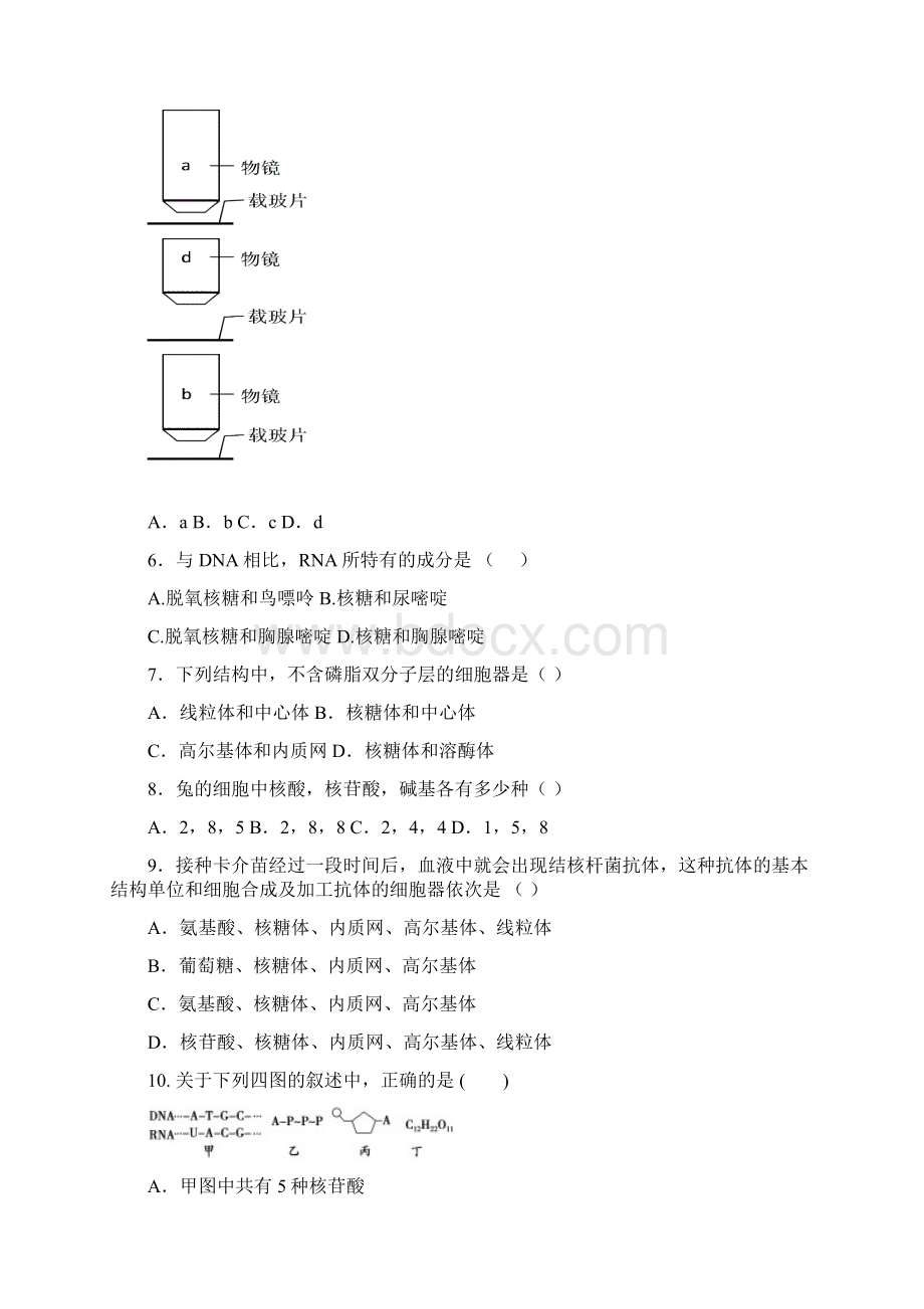 高一下学期第一次月考开学生物试题Word文件下载.docx_第2页