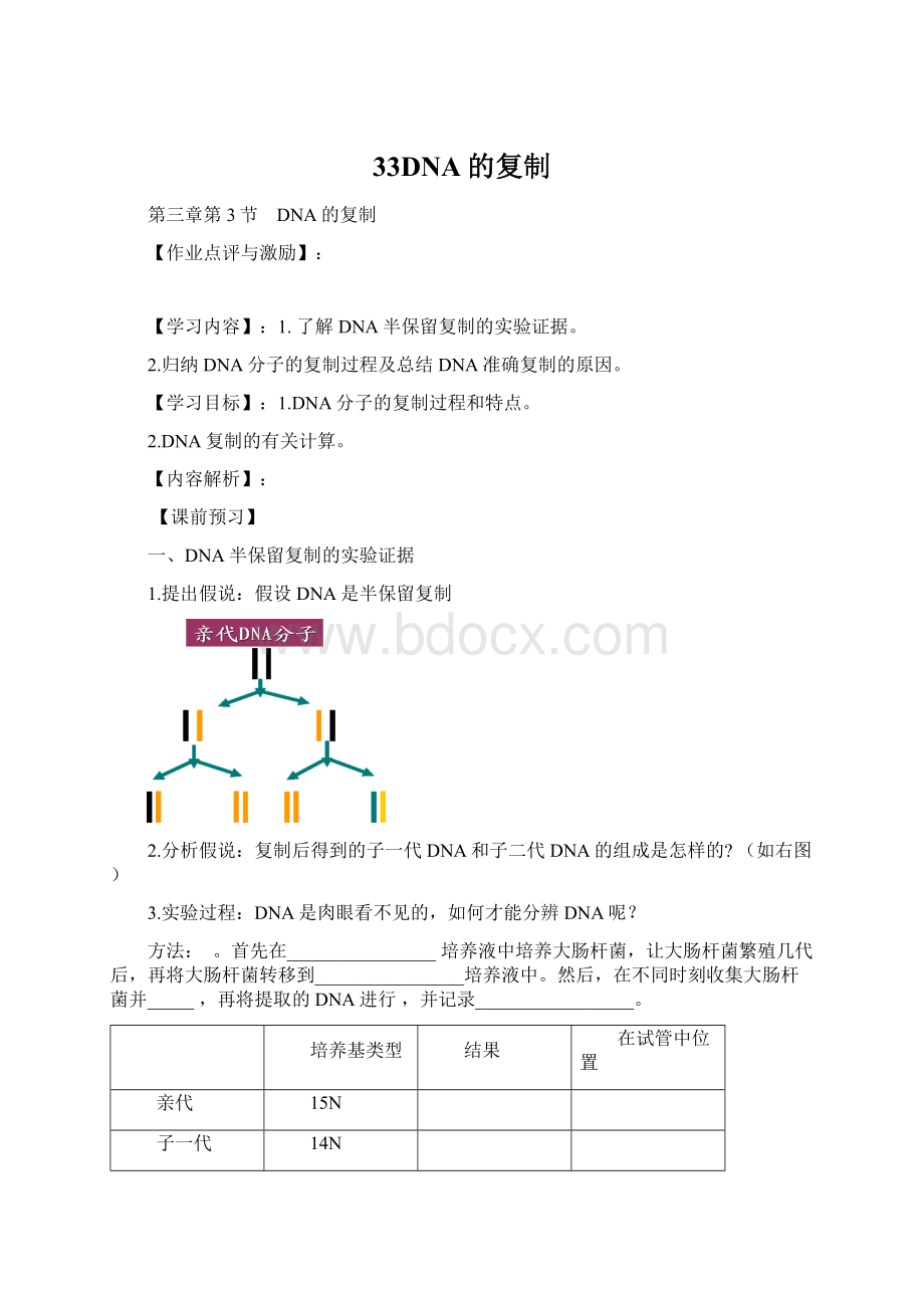 33DNA的复制.docx