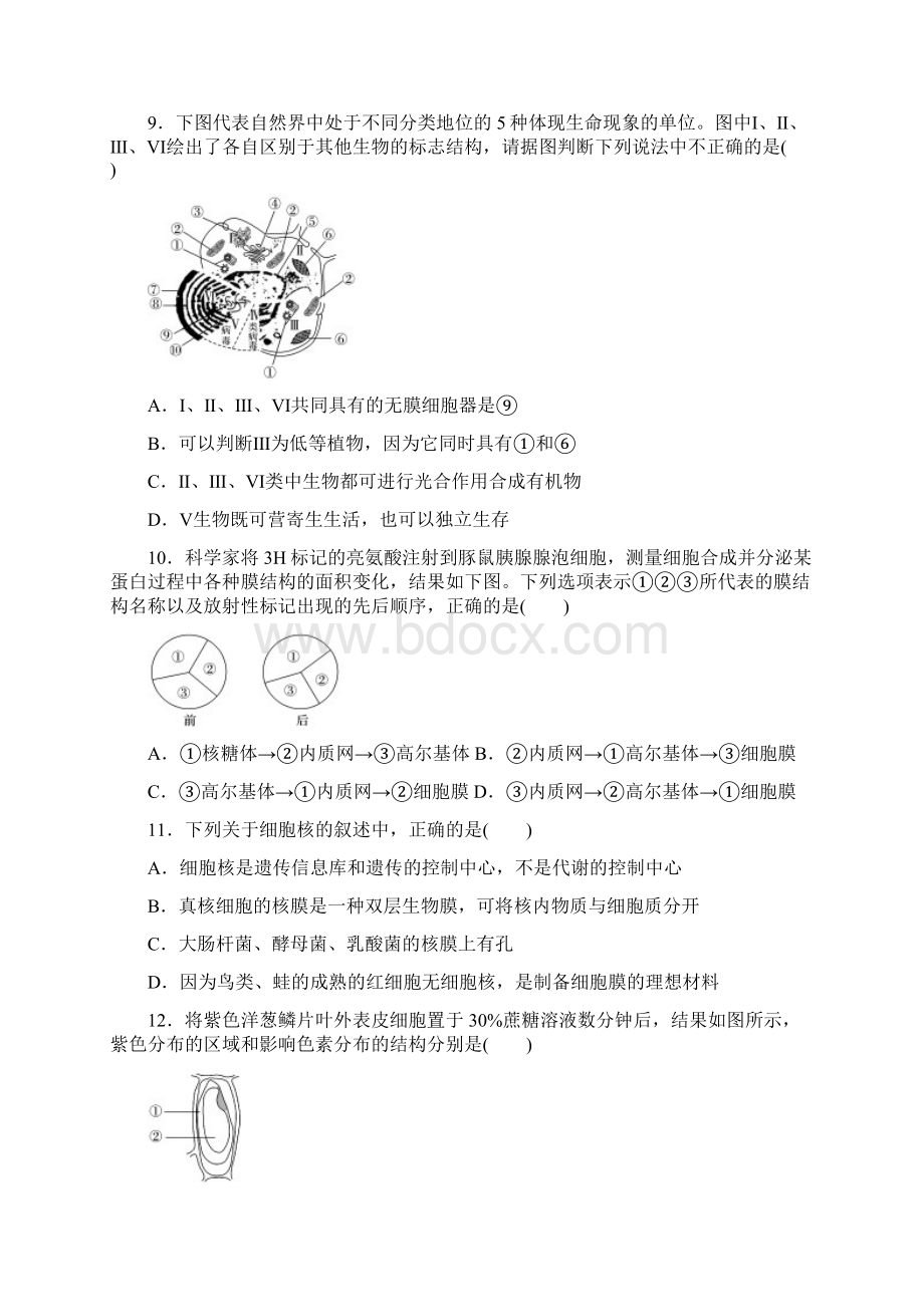 山东省微山县第二中学届高三上学期第三学段教学质量监测生物试题 Word版含答案文档格式.docx_第3页