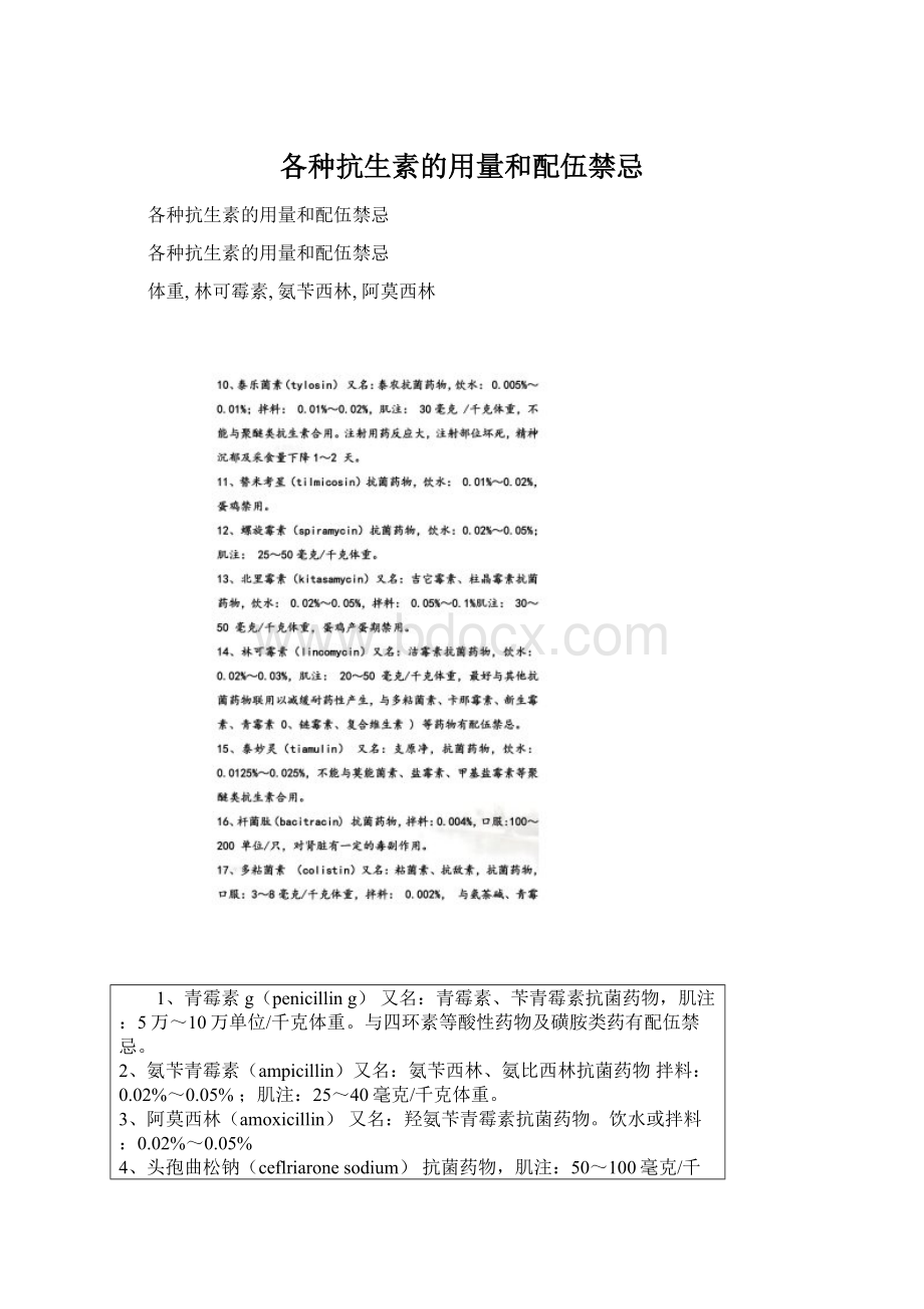 各种抗生素的用量和配伍禁忌Word格式文档下载.docx