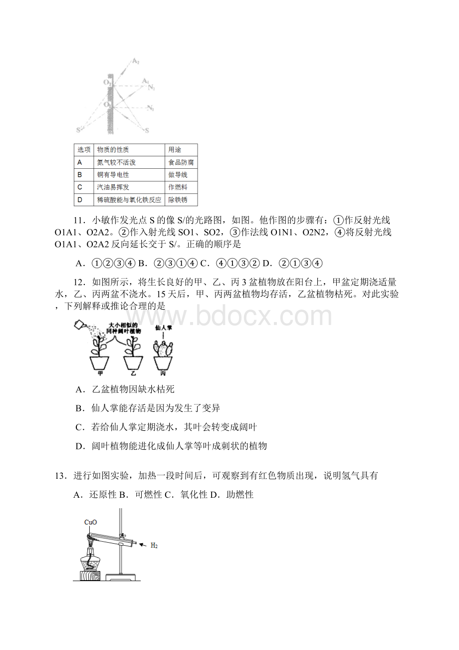 YALE绍兴市初中毕业生学业考试科学.docx_第3页