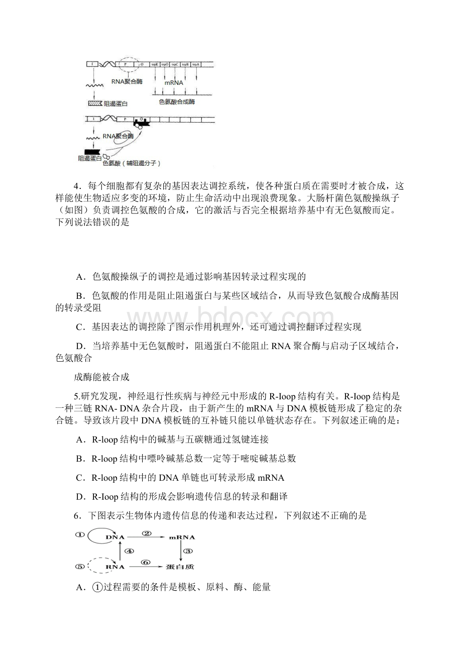 届四川省成都经济技术开发区实验中学校高三模拟一理科综合试题.docx_第2页