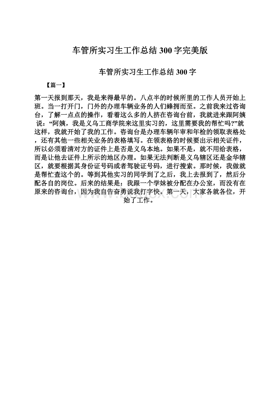 车管所实习生工作总结300字完美版.docx