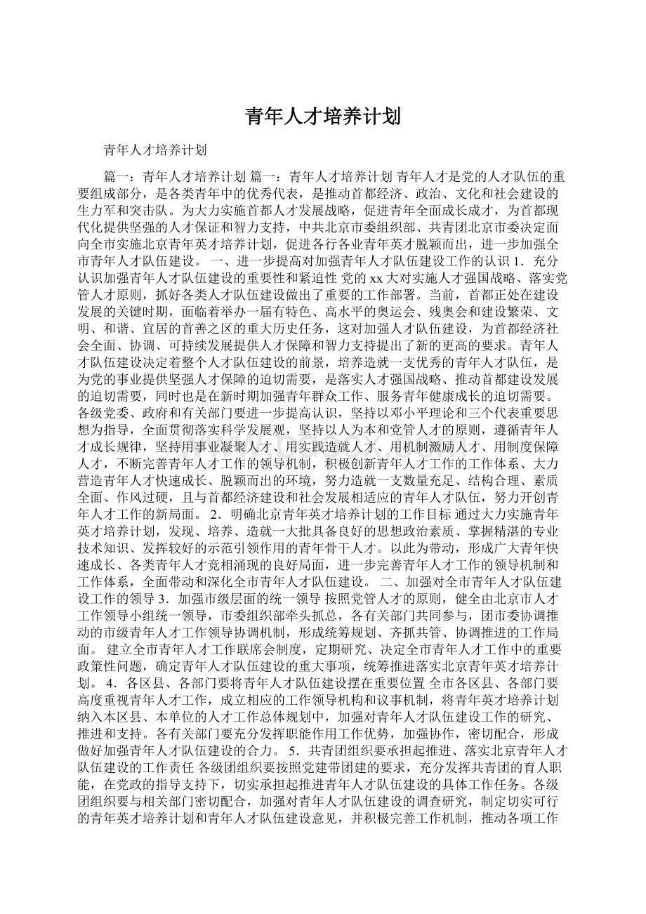 青年人才培养计划.docx