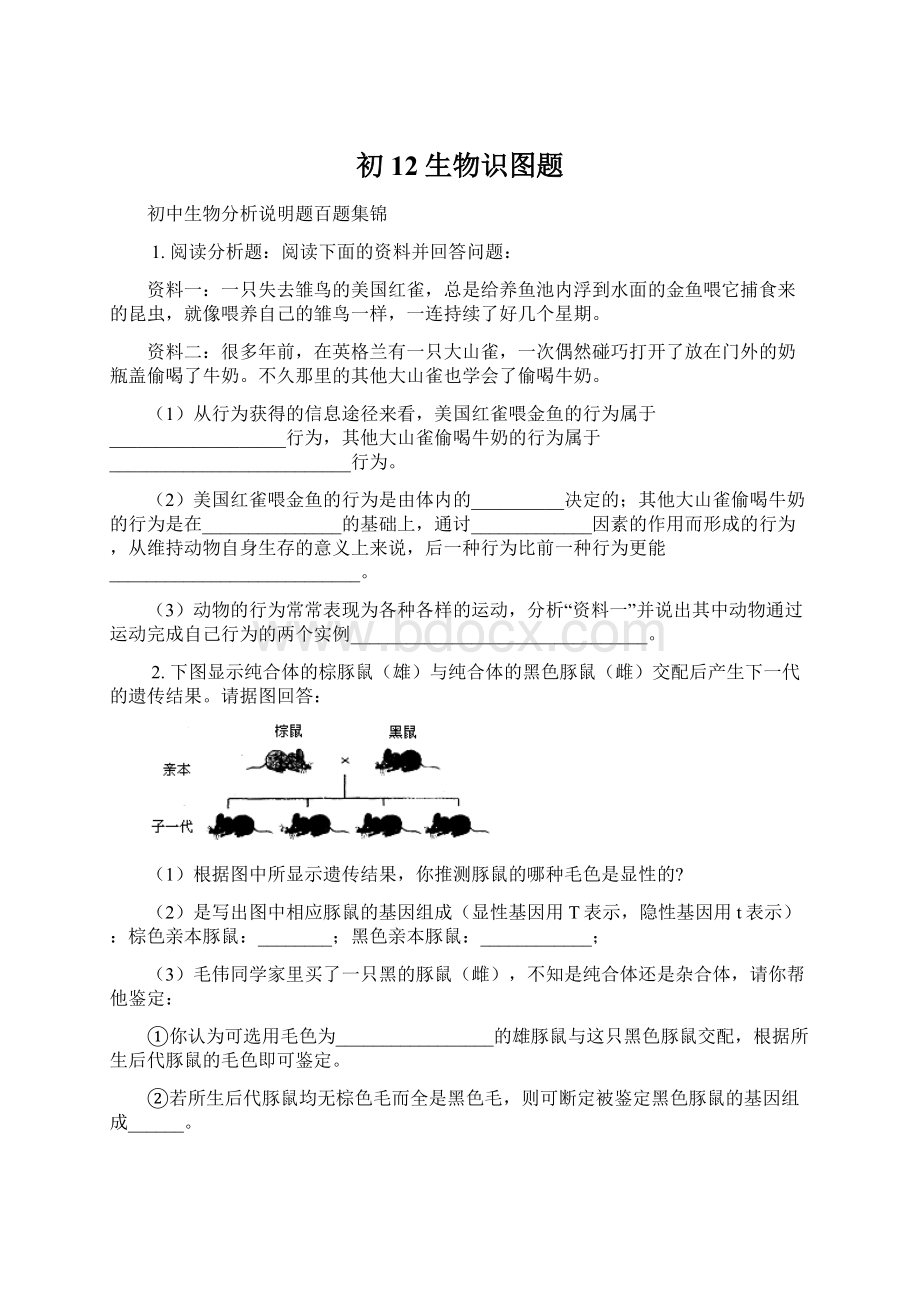 初12生物识图题.docx