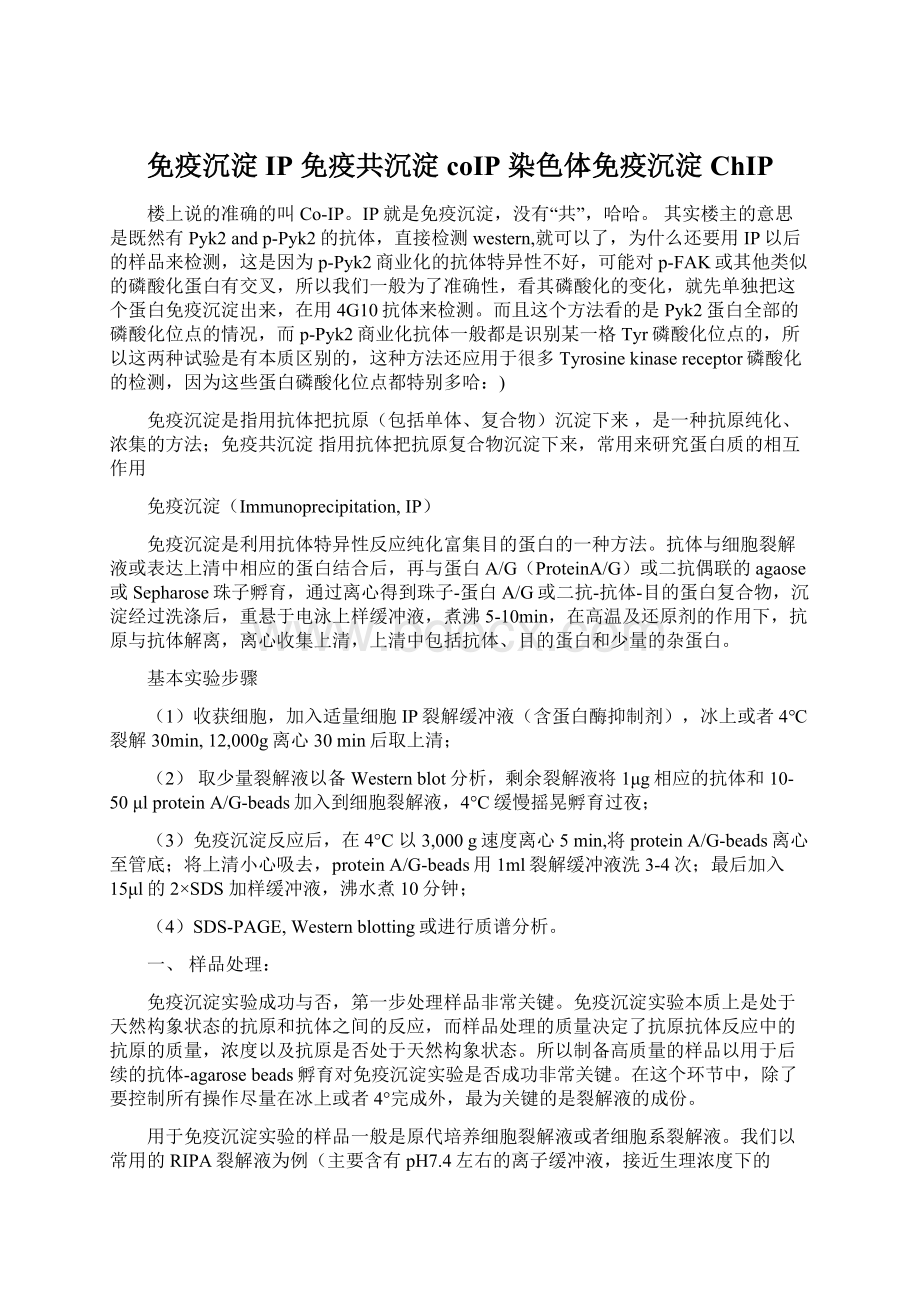 免疫沉淀IP 免疫共沉淀coIP 染色体免疫沉淀ChIPWord下载.docx