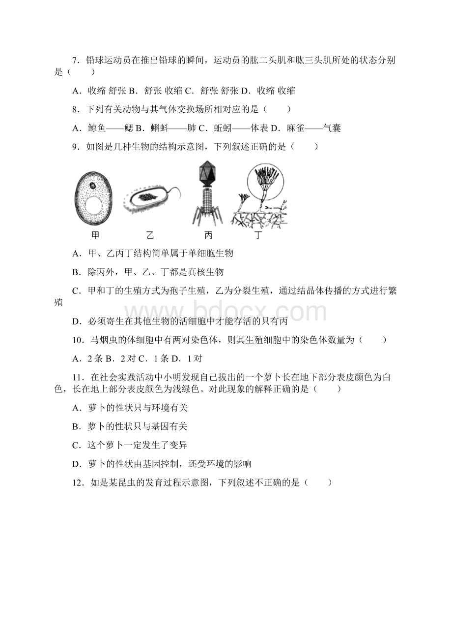 青海省中考生物真题word解析版Word文档格式.docx_第2页